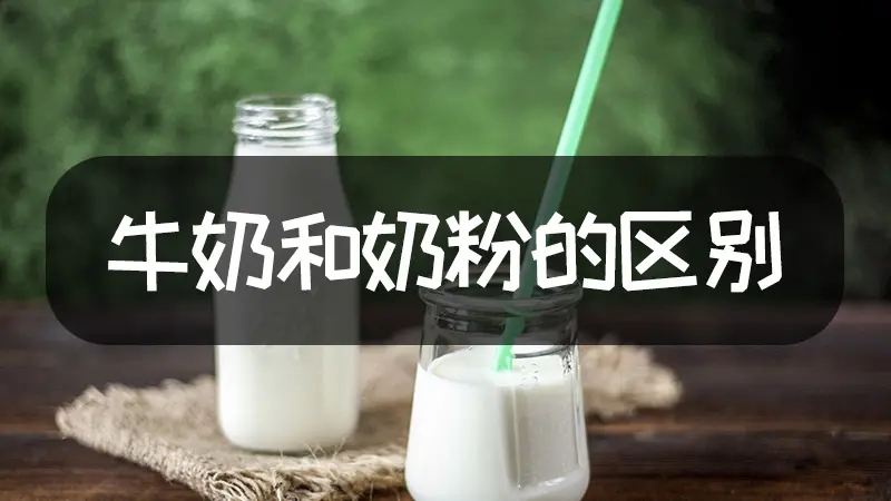 奶粉和牛奶有什么区别？