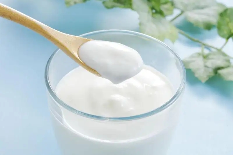 酸奶能做什么美食？能加热吗？