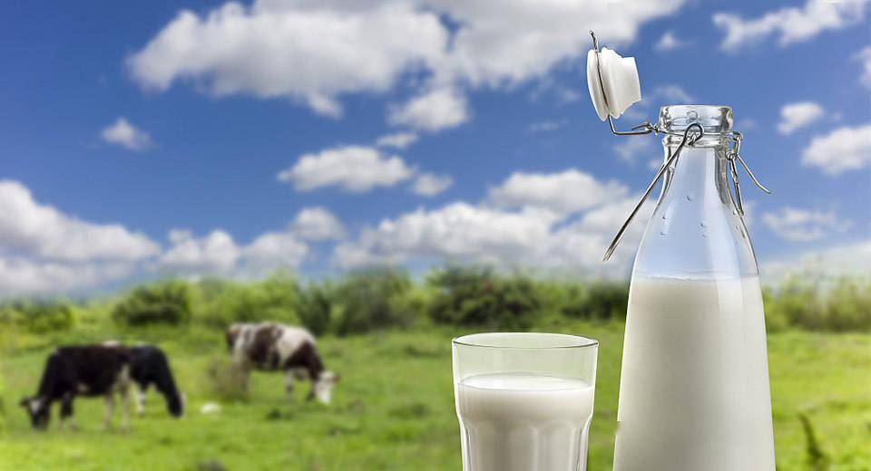 [光明订奶]致优全鲜乳尊享杯260ml，光明订奶热线新鲜到家-第2张图片-牛奶网