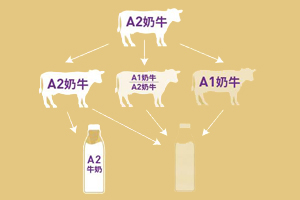 宜宾如何订鲜奶每天送奶到家（早上或下午）？