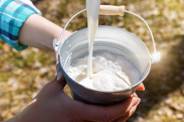 原味酸奶常温下能放置多久？酸奶订购电话-第2张图片-牛奶网