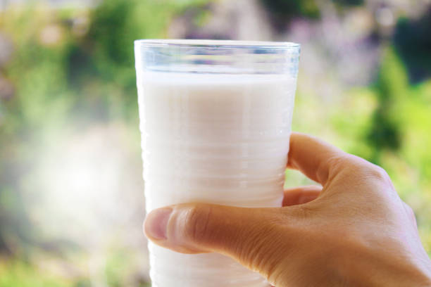 卫岗牛奶是什么档次？为什么卫岗牛奶属于高品质牛奶？