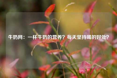 牛奶网：一杯牛奶的营养？每天坚持喝的好处？-第1张图片-牛奶网