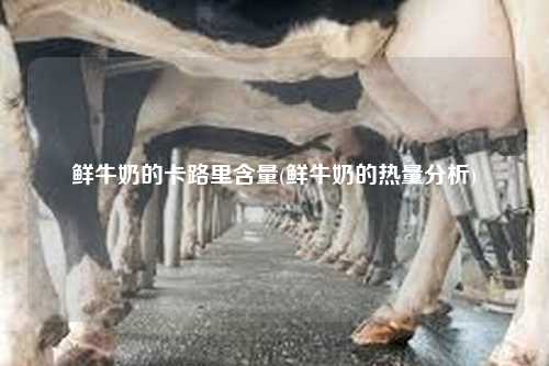鲜牛奶的卡路里含量(鲜牛奶的热量分析)-第1张图片-牛奶网