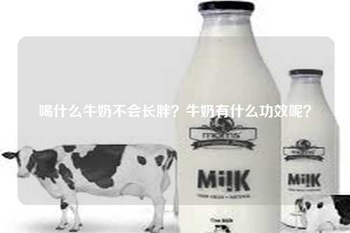 喝什么牛奶不会长胖？牛奶有什么功效呢？