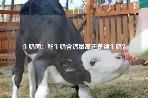 牛奶网：鲜牛奶含钙量高还是纯牛奶？-第1张图片-牛奶网