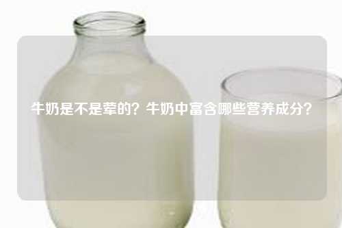 牛奶是不是荤的？牛奶中富含哪些营养成分？-第1张图片-牛奶网