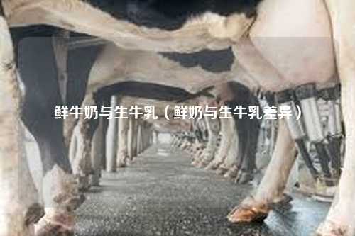 鲜牛奶与生牛乳（鲜奶与生牛乳差异）-第1张图片-牛奶网